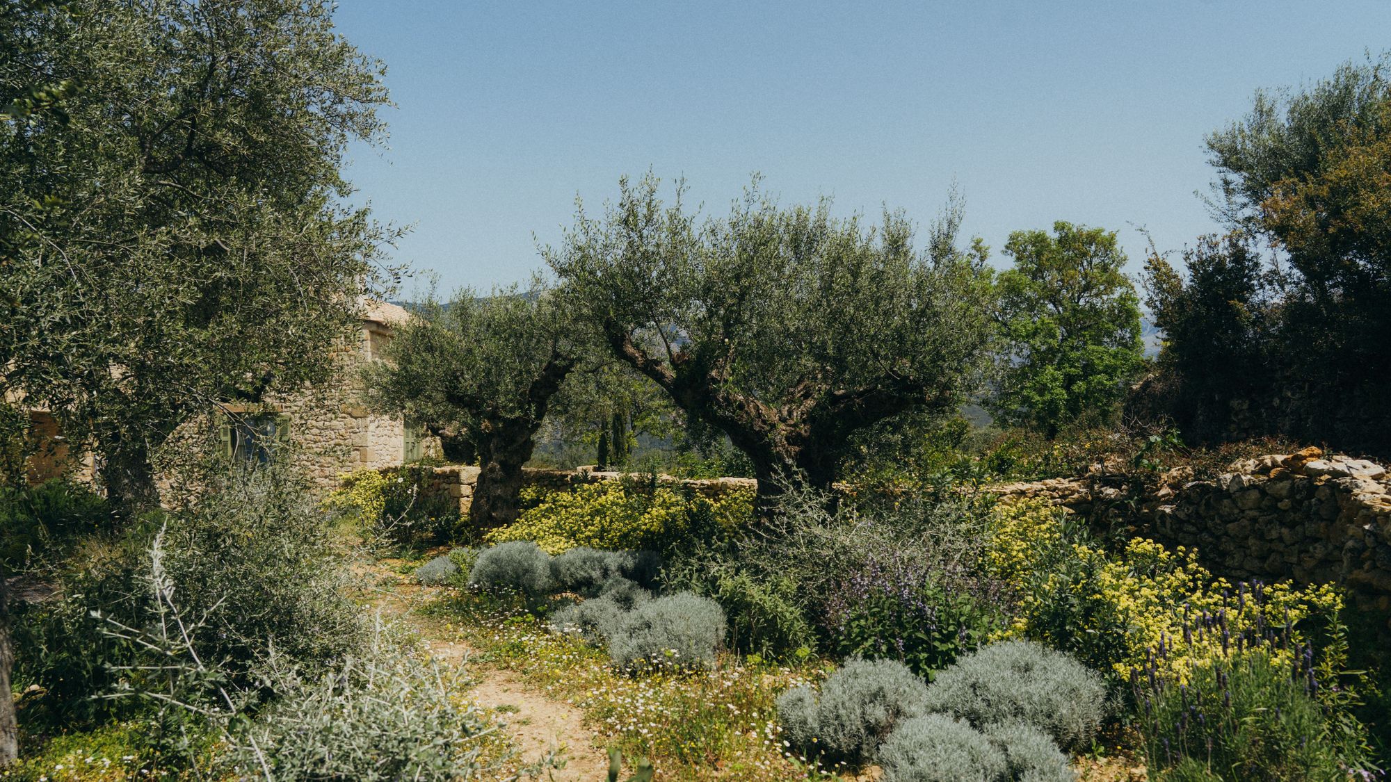 Quiet Mediterranean terrace overlooking the sea